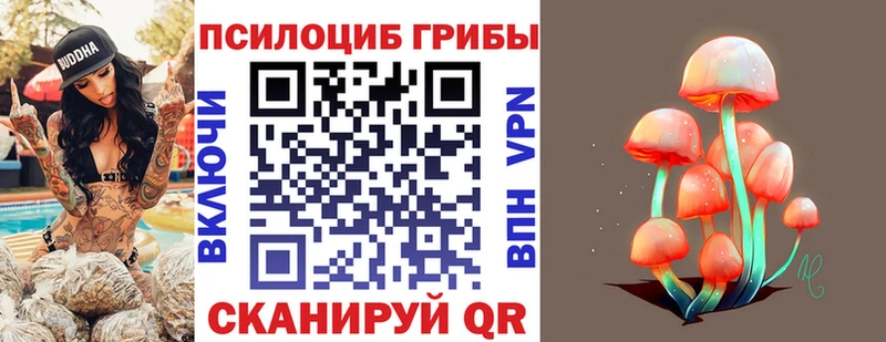 Галлюциногенные грибы Cubensis Приволжск